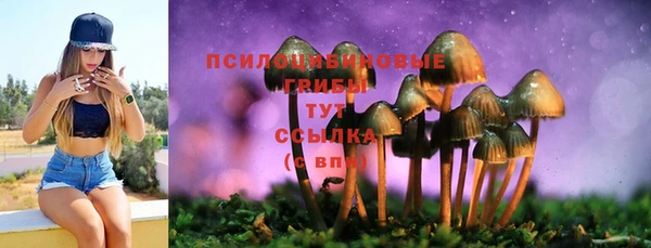 MESCALINE Богородицк
