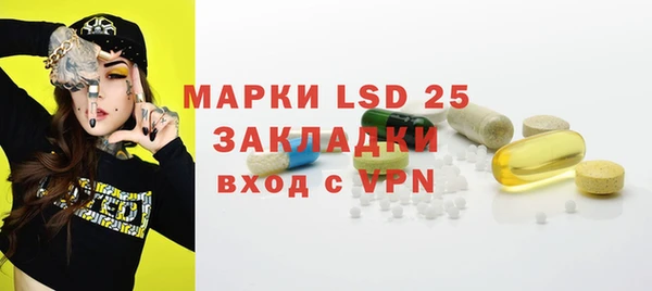 PSILOCYBIN Богданович