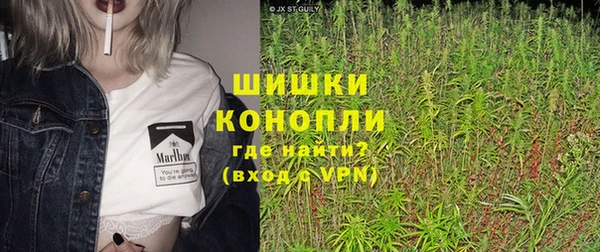 PSILOCYBIN Богданович