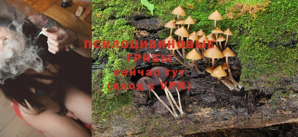 PSILOCYBIN Богданович